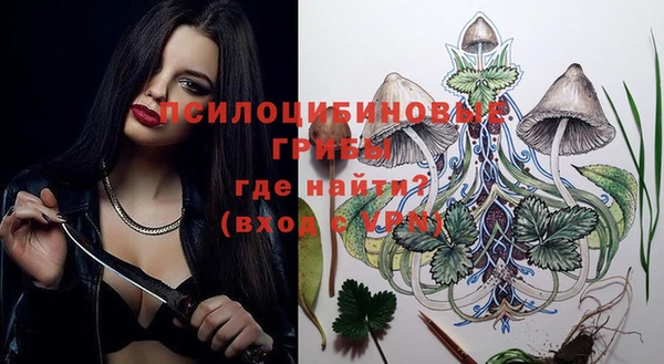 МДПВ Протвино