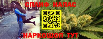 ешки Кингисепп