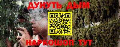 ешки Кингисепп
