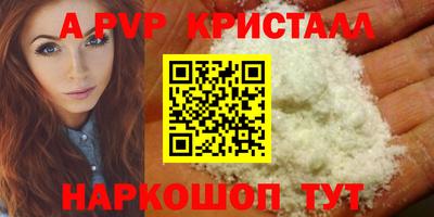 ешки Кингисепп
