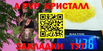 ешки Кингисепп