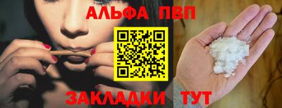 ешки Кингисепп